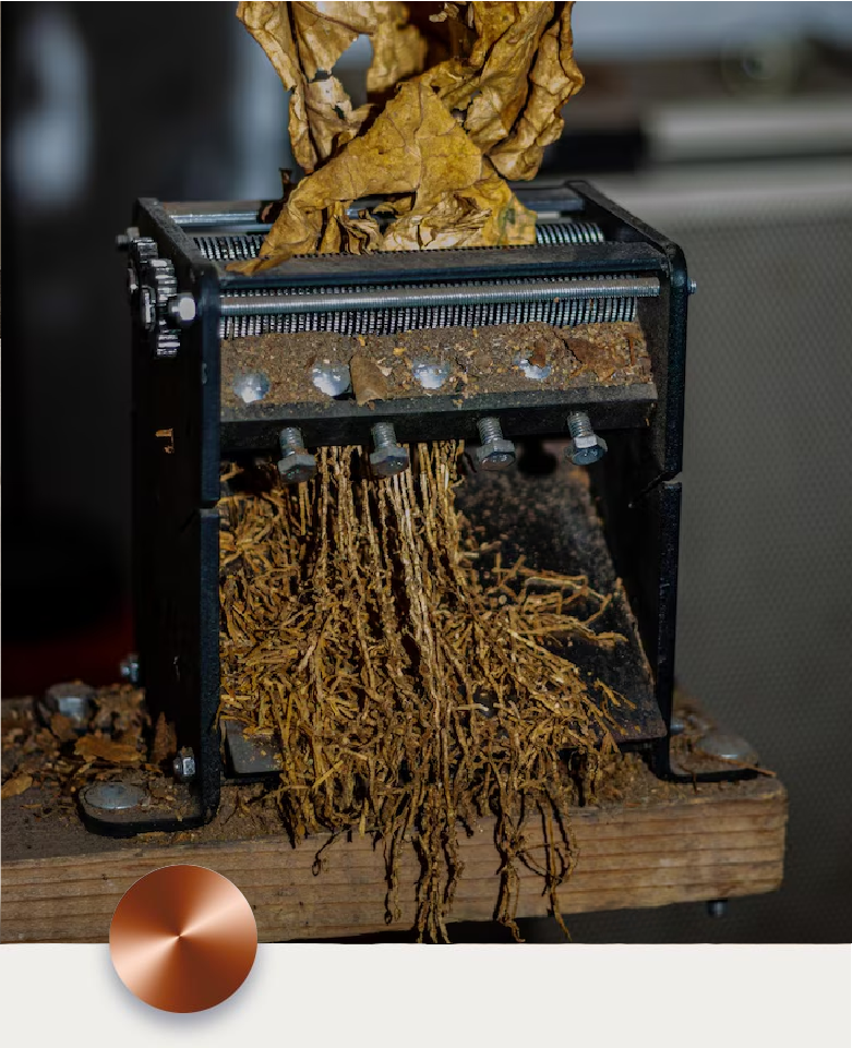 Tobacco processing
